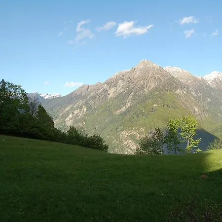 Alla Bella * Santa Maria
